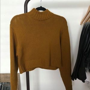 Aritzia Heinen sweater